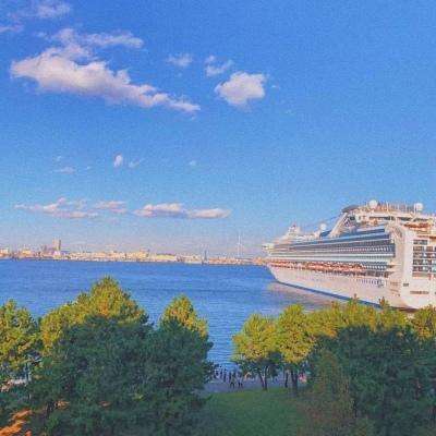 海星体育ios下载