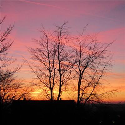 BIBO必博·体育截图