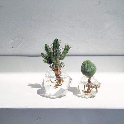 助赢软件appapp下载